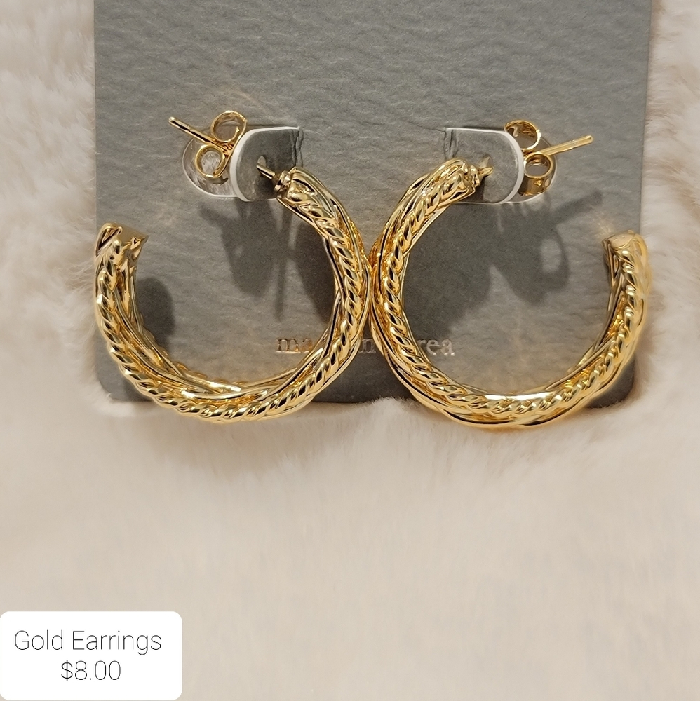 Earrings